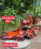  Nhất Dương Bằng Gỗ: Sự Hòa Quyện Giữa Nghệ Thuật và Tâm Linh 