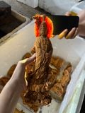  Phật quan âm liên hoa huyết long siêu mọng dầu 