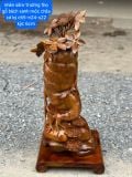  Củ Nhân Sâm Gỗ Bách Xanh Mộc Châu 