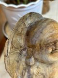  Cụ Di Lặc ngồi núi Nhân Sâm dưới tán tùng 