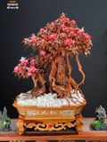  Tượng Chim Công (Phu Thê Viên Mãn) 