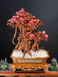  Tượng Chim Công (Phu Thê Viên Mãn) 