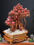  Tượng Chim Công (Phu Thê Viên Mãn) 