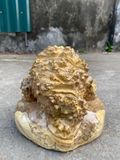  Thiềm Thừ gỗ nu ngọc nghiến 