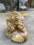  Thiềm Thừ gỗ nu ngọc nghiến 