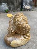  Thiềm Thừ gỗ nu ngọc nghiến 