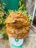  Cụ Cóc Gỗ Mun Đuôi Công - Tượng Gỗ Độc Đáo 
