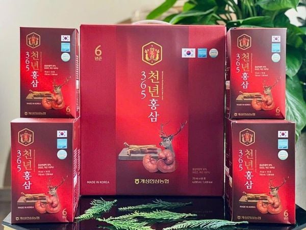  Nước Hồng Sâm Nhung Hươu Linh Chi 365 Hàn Quốc BKHE-001600KR-0002 