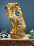  Sâm Trường Thọ (Nghìn năm tuổi) 