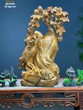  Sâm Trường Thọ (Nghìn năm tuổi) 