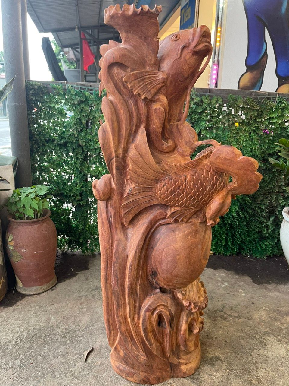  Song Ngư Vờn Bình Gỗ Hương Ta Gia Lai 