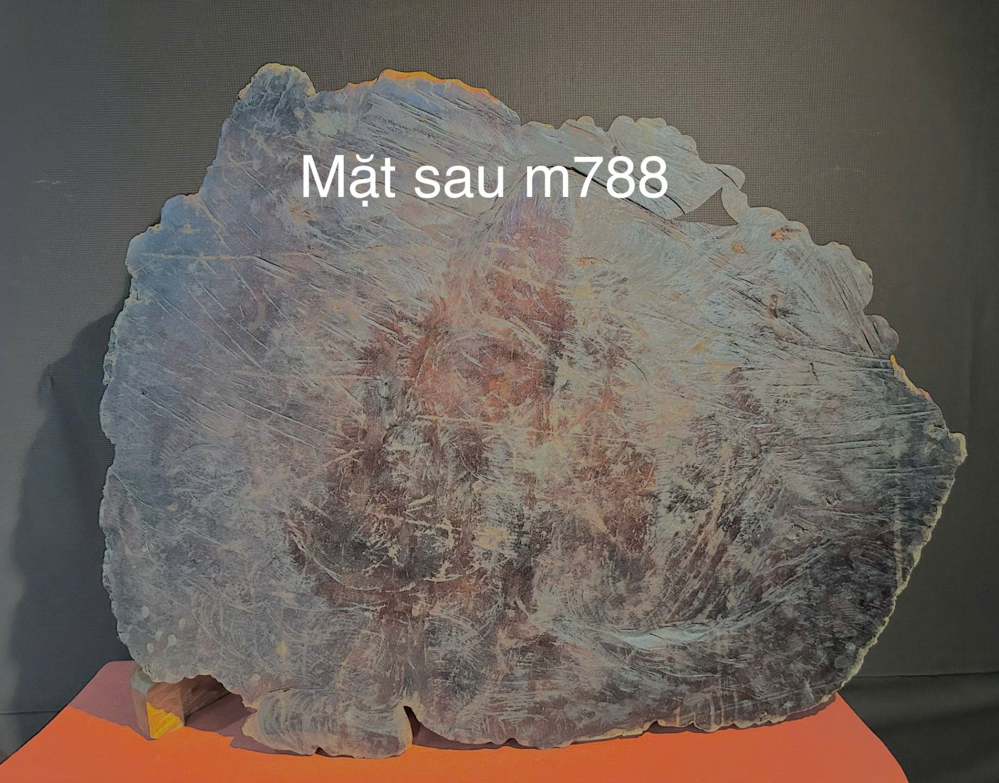  Quạt Kim Tiền Gỗ Nu Hương 