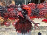  Đại Bàng Treo Tường Gỗ Trắc Ta Đỏ Đen 