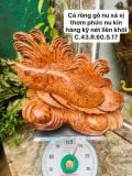  Cá Rồng Gỗ Nu Xá Xị Liền Khối 
