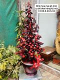  Bình Hoa Mai Điểu Gỗ Trắc Ta Đỏ Đen 