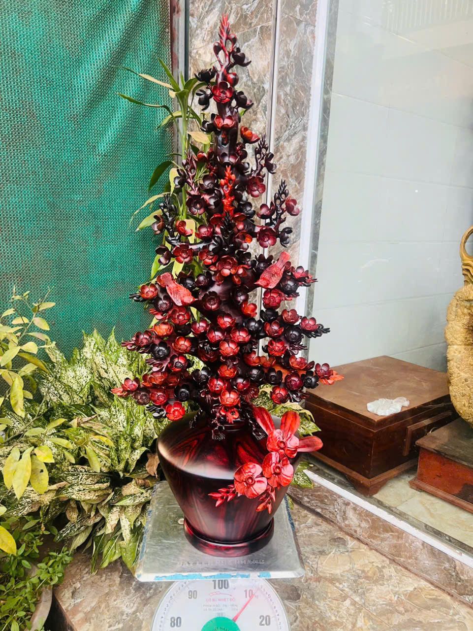  Bình Hoa Mai Điểu Gỗ Trắc Ta Đỏ Đen 