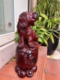  Cún Gỗ Trắc Việt Liền Khối 