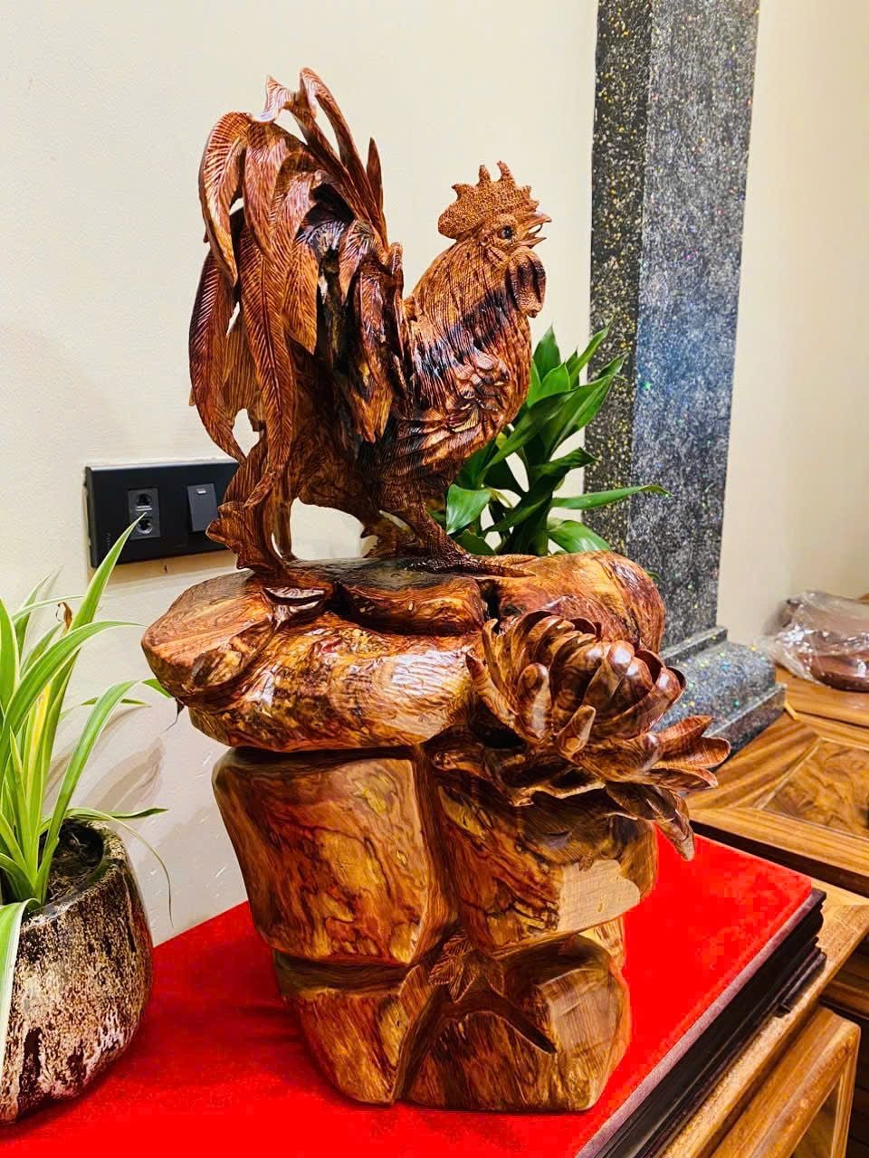  Gà Trống Gỗ Cẩm 