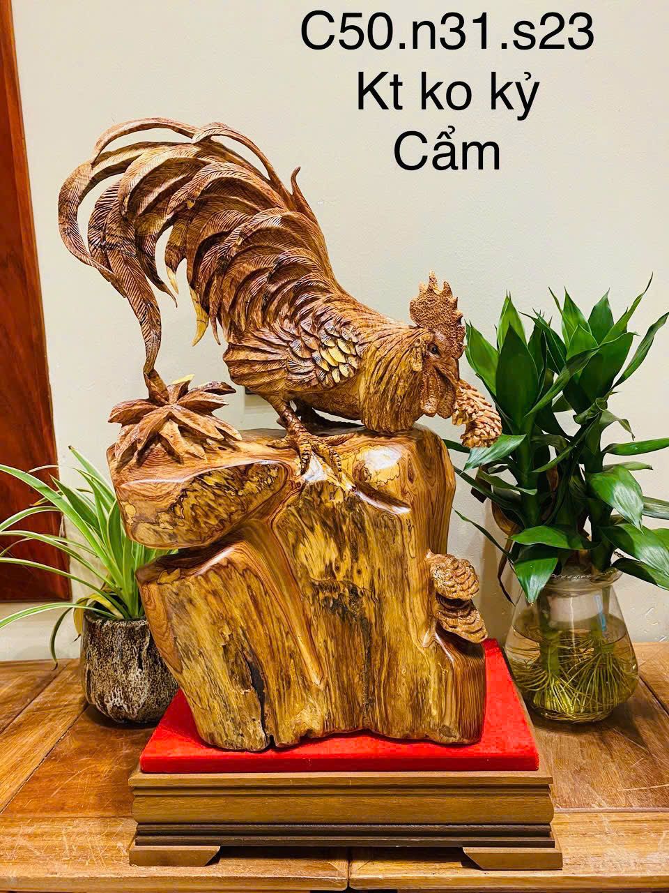  Gà Trống Gỗ Cẩm 