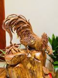  Gà Trống Gỗ Cẩm 