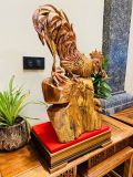  Gà Trống Gỗ Cẩm 
