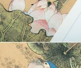  Hình ảnh vịt Ming Chen 