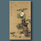  Hình ảnh vịt Ming Chen 