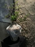  Bình gốm sứ cổ điển - Điểm nhấn tinh tế cho không gian sống 