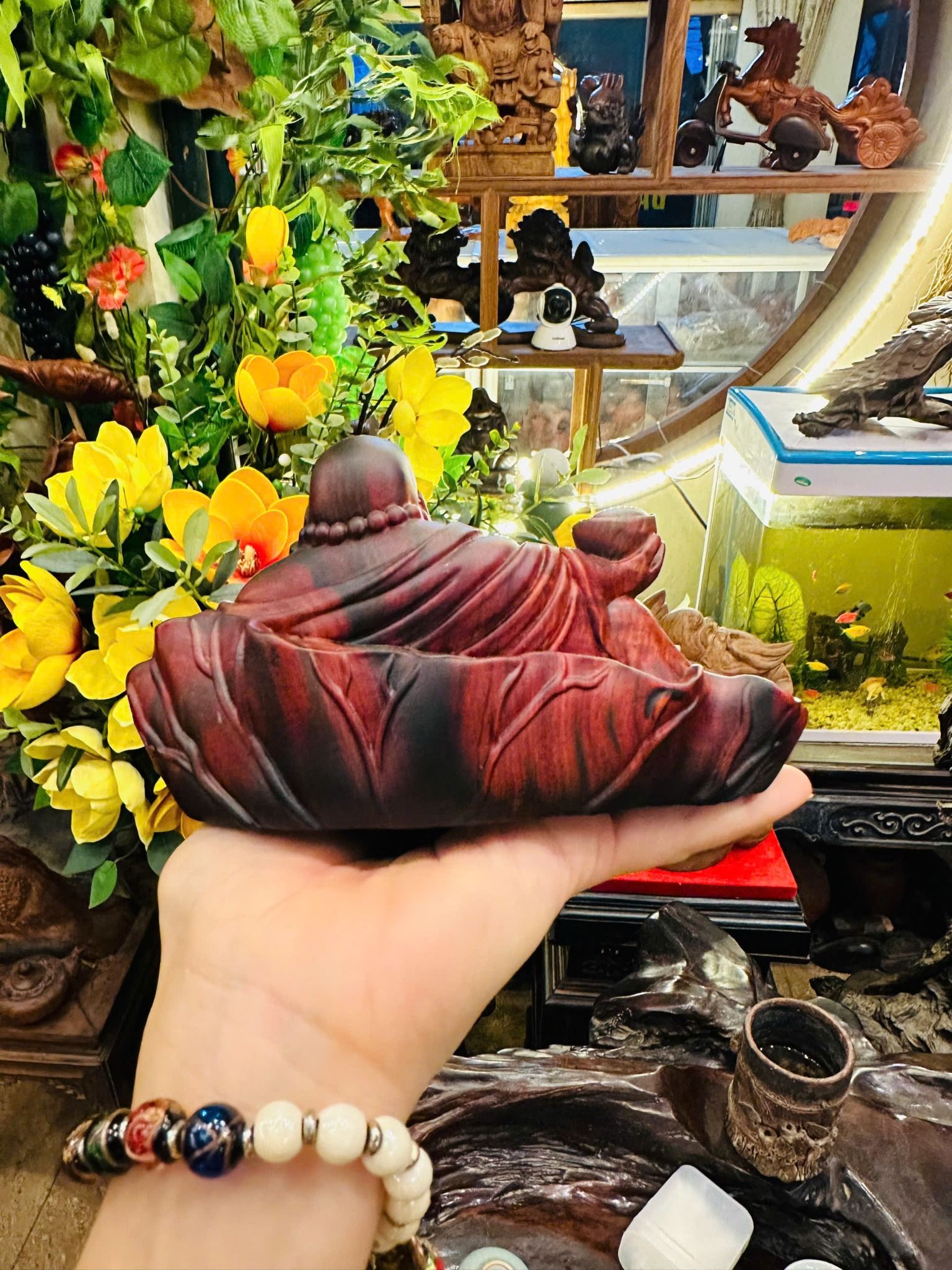 Di lạc ngồi lá sen 