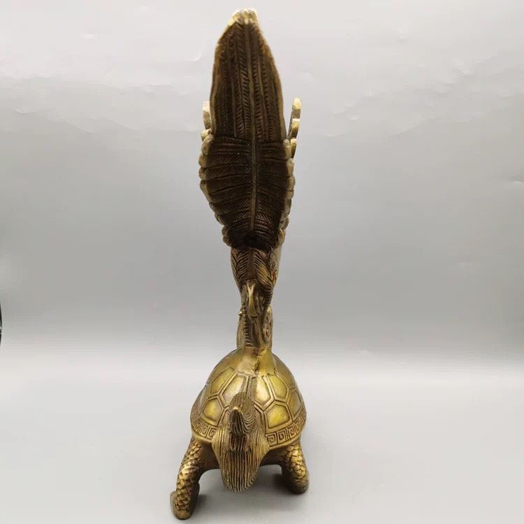  Gà trống đứng trên lưng rùa 