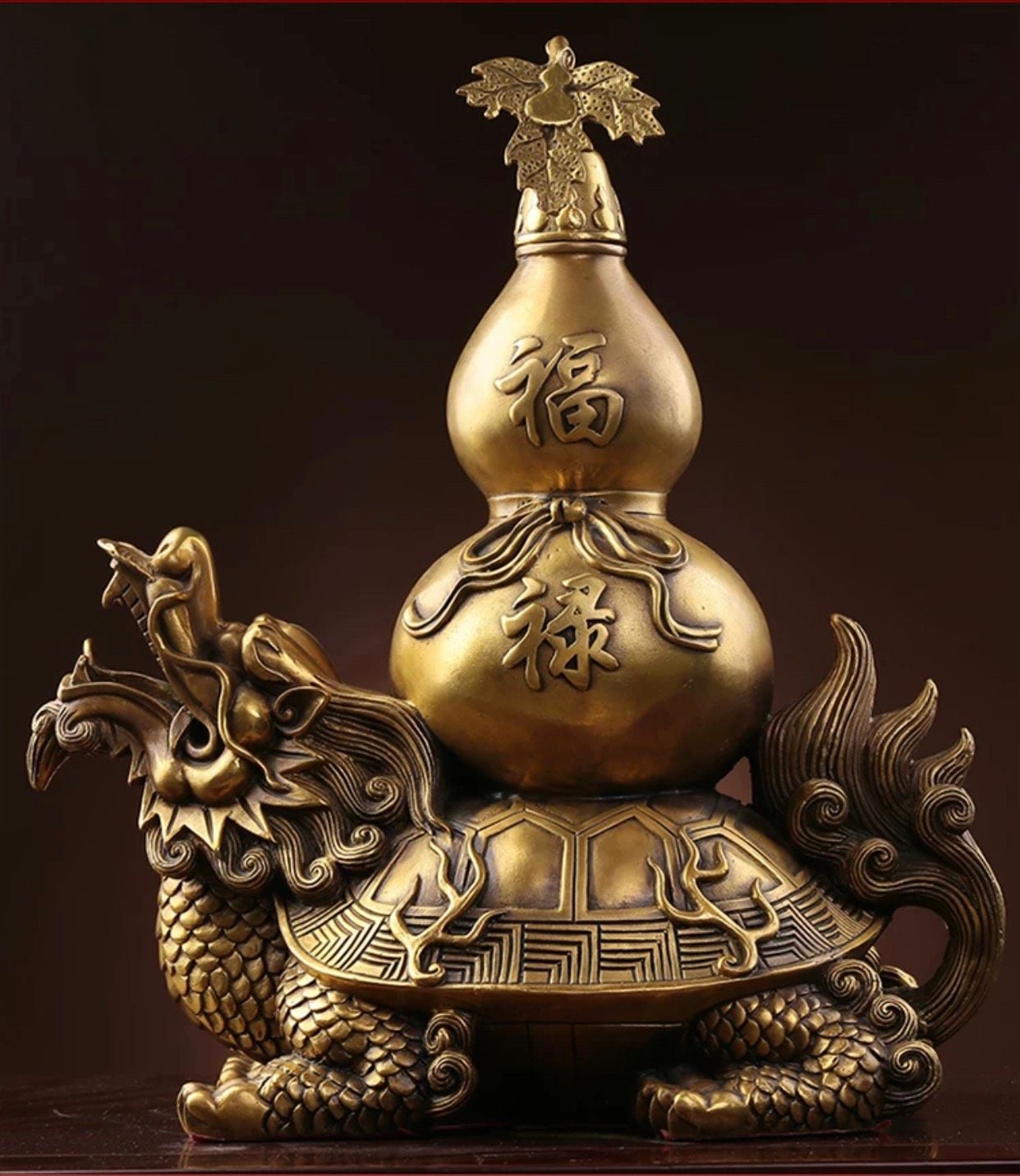  rùa rồng bầu 