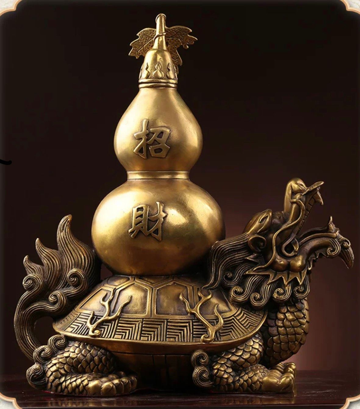  rùa rồng bầu 