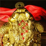  cóc vàng ngậm tiền 