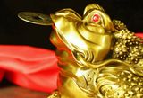  cóc vàng ngậm tiền 
