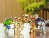  Voi hút nước – Kính màu tốt lành 