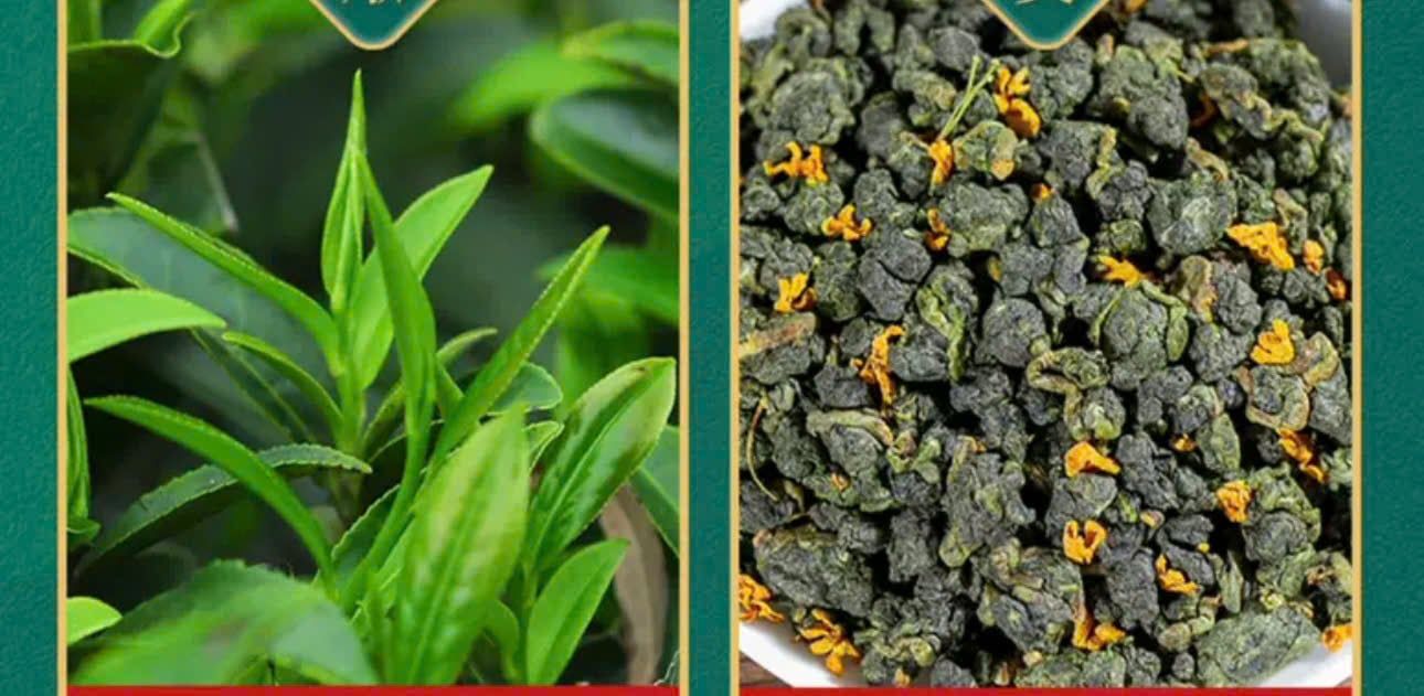  Trà ô long osmanthus 