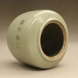  Ao Sen Thú Vị Nhỏ Bao Phủ Bình Sứ Cổ 