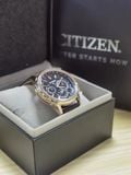  Đồng hồ cao cấp CITIZEN 