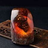  Hổ phách tự nhiên (có chứa động vật) 