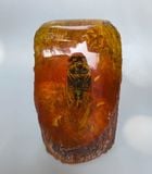  Mẫu côn trùng trang trí (ve sầu) 