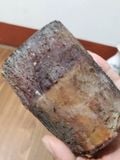  Mẫu côn trùng trang trí (ve sầu) 
