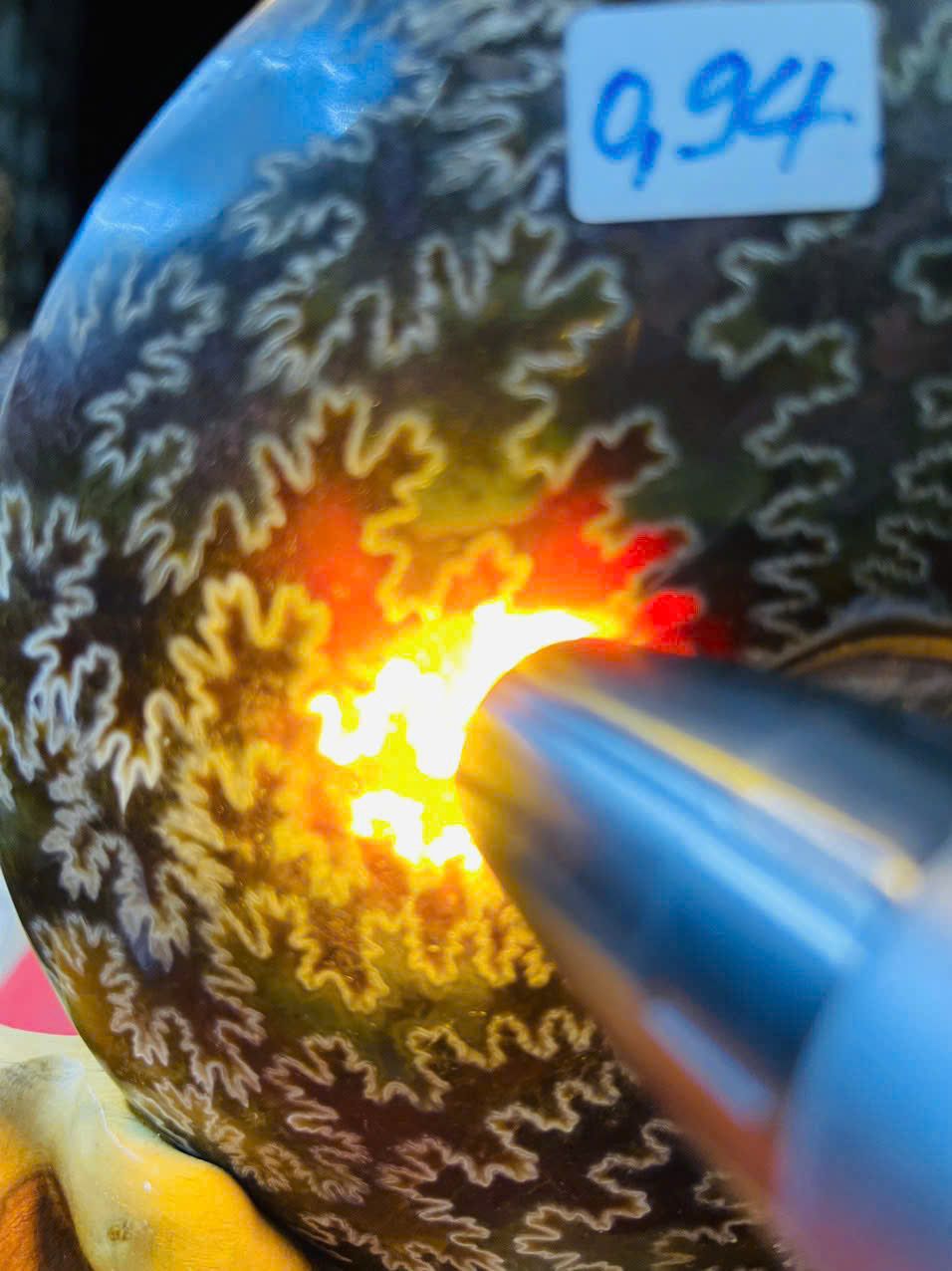  Ốc Anh Vũ Hóa Thạch Vân Tự Nhiên Trên Đế Gỗ Quý 