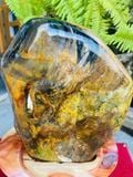  Cây Gỗ Hóa Ngọc Tím Đa Sắc 