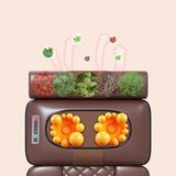  Đệm massage toàn thân 
