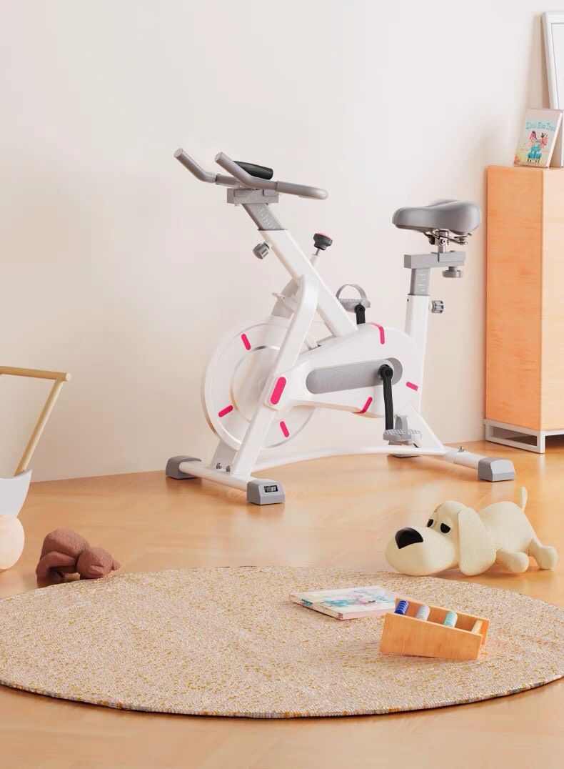  Xe đạp tập thể dục trong nhà 
