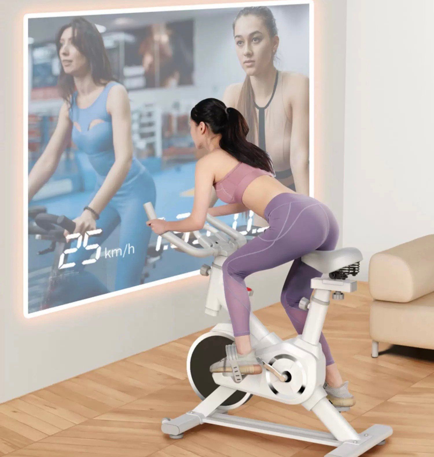  Xe đạp tập thể hình 