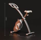  Xe đạp tập thể hình gấp gọn tại nhà 