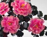  Đồ trang trí hoa mẫu đơn ngọc bích [Cánh hoa] Ngọc Afghanistan  [Lá] Ngọc Đan Đông 