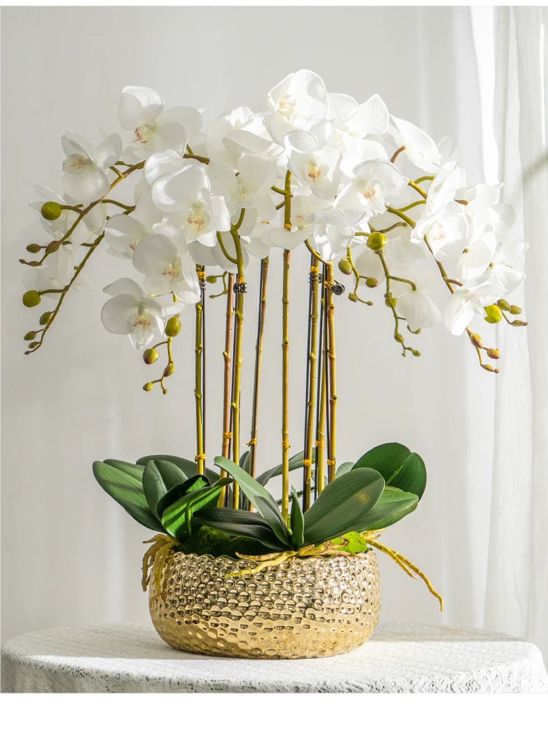 Chậu hoa lan hồ điệp Chất liệu Composite + đế gốm sứ + cao su mềm – Siêu Thị Bảo Khánh