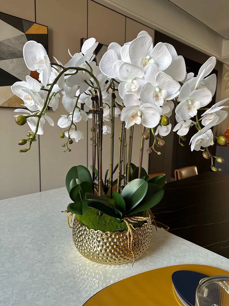 Chậu hoa lan hồ điệp Chất liệu Composite + đế gốm sứ + cao su mềm – Siêu Thị Bảo Khánh